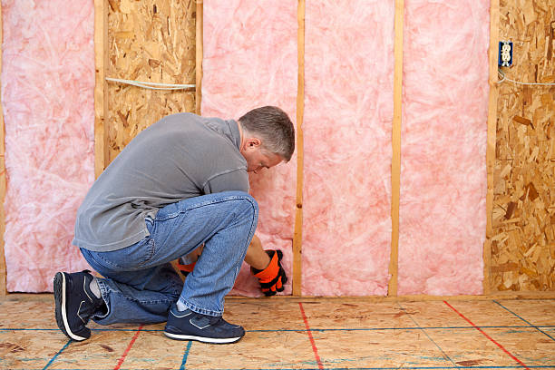 Best Geographic-Specific Insulation Services in Hlside, IL